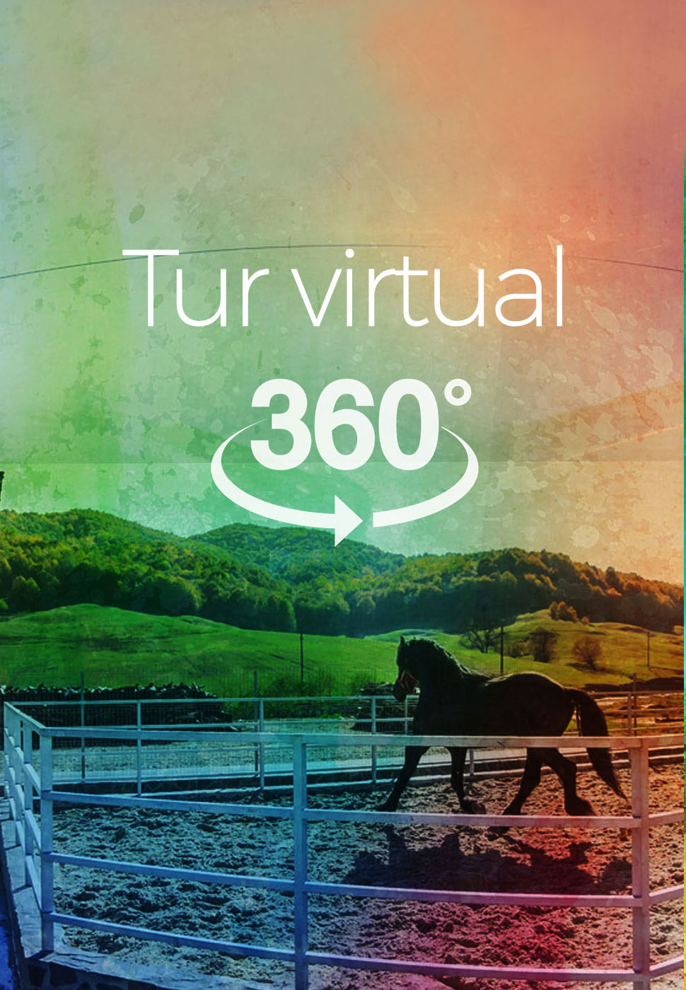 Tur virtual 360 Ferma - Domeniul Girbea